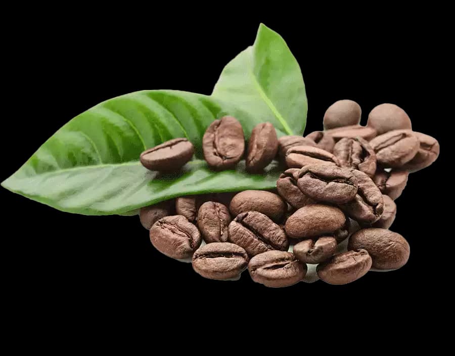 Kaffee alternate view